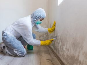 DEP Rule Establishes New Penalty for Certain Mold Violations
